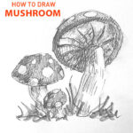 mushroom-drawing-easy-outline-how-to-draw-step-by-step-fun-cute-cool-shroom-sketch-pad-art-line-board-online-animated-drawings-websites-tablet-fish-sketches-doodling-gesture-beginners-simple