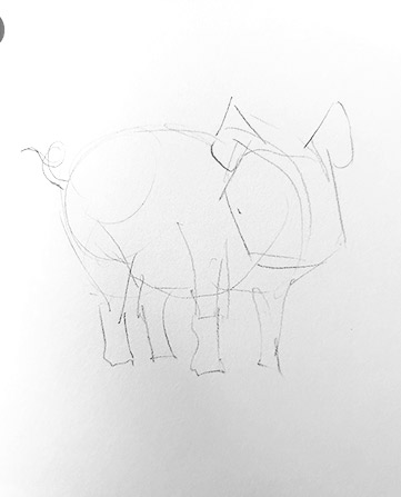 pig drawing-easy-outline