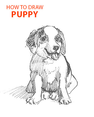 PUPPY drawing easy STEP BY STEP how to draw