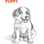 puppy-drawing-easy-outline-how-to-draw-step-by-step-fun-cute-cool-scary-sketch-pad-art-line-board-online-animated-drawings
