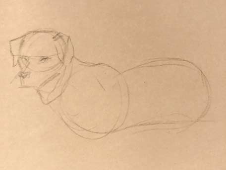 how-to-draw-a-golden retriever