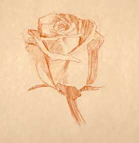 how-to-draw-a-rose-easy-simple-fast-quick-drawing-sketch-sketching-flower