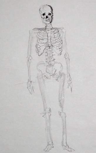 how-to-draw-a-skeleton-anatomy-lesson-drawing-tutorial-step-by-step-easy-simple-fast-quick-step-3