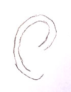 how to draw an ear