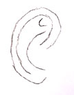 how to draw an ear