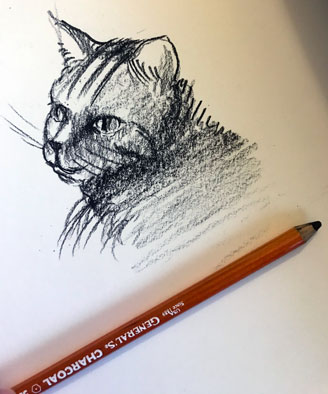 cat-head-drawing-generals-charcoal