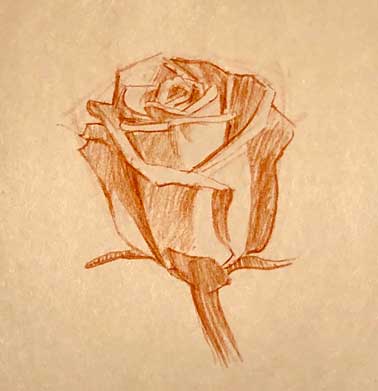 Rose Pencil Sketch - Easy Step by Step - YouTube