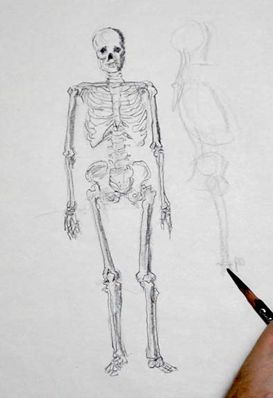 how-to-draw-a-skeleton-anatomy-lesson-drawing-tutorial-step-by-step-easy-simple-fast-quick-step-6-beginners-advanced-sketch-sketching-pencil-rib-cage-skull