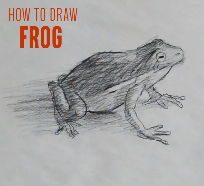 how-to-draw-frog-step-by-step-easy-simple-quick-fast-basic-speed-toad-drawing-sketching-art-artist-animal-reptile-sketch-paint-tutorial-beginner-advanced pencil-artwork-learn-frogs