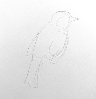 bird-drawing-step-by-step-easy