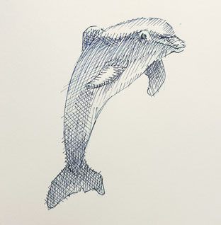 how-to-draw-dolphin-drawing-easy-step-by-step-tutorial-realistic-shading-quick-animal-fish-mammal-swimming-jumping-pencil-pen-coloring