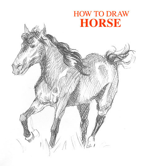 how-to-draw-horse-easy-step-by-step-fast-donkey-farm-animal-realistic-shading-beginner-kids-fun-simple-pencil-pen-sketch-galloping-animals-realism-tutorial-sketching