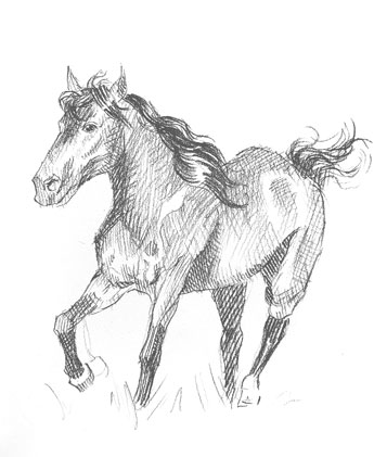 how-to-draw-horse-easy-step-by-step-fast-donkey-farm-animal-realistic-shading-beginner-kids-fun-simple-pencil-pen-sketch-galloping-animals-realism
