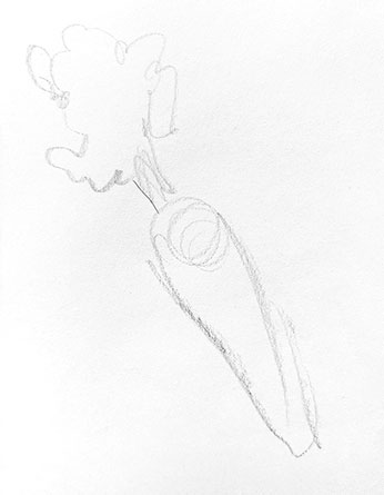 carrot-drawing-easy