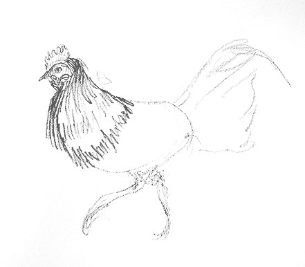 chicken-drawing-easy-how-to-draw-step-by-step